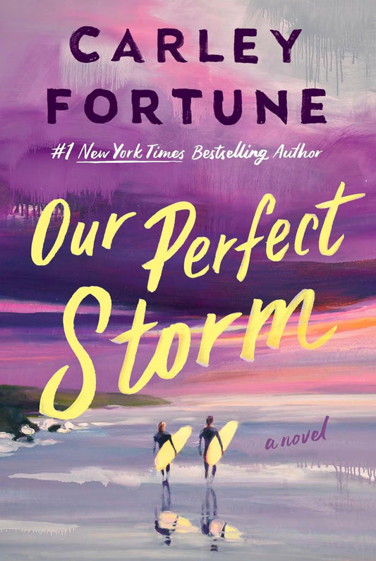 Our Perfect Storm (Hardback)